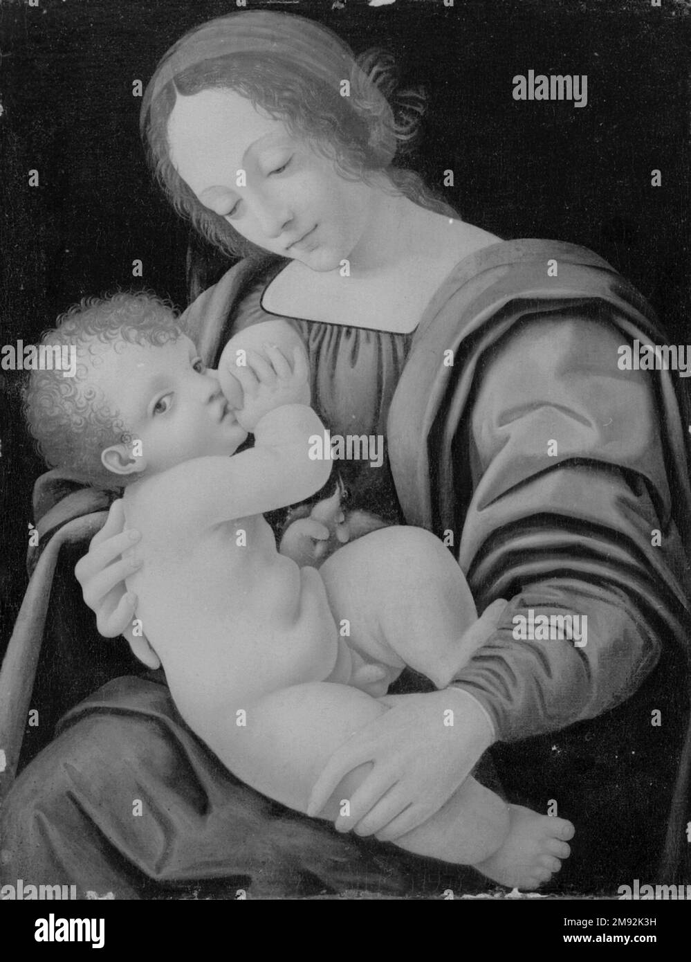Madonna et l'enfant, ou Madonna infirmière attribuée à Giovanni Antonio Boltraffio (ou Beltraffio) (Italien, Milanese, ca. 1467-1516). , ca. 1500. Huile sur toile collée au panneau en bois, 17 x 13 po. (43,2 x 33,0 cm). Art européen ca. 1500 Banque D'Images