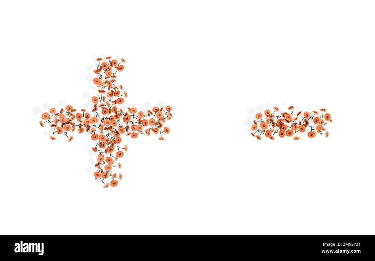 Concept ou ensemble conceptuel de superbes bouquets gerberas en fleurs formant les signes + et -. 3d métaphore de l'illustration pour l'éducation, le design et la décoration Banque D'Images