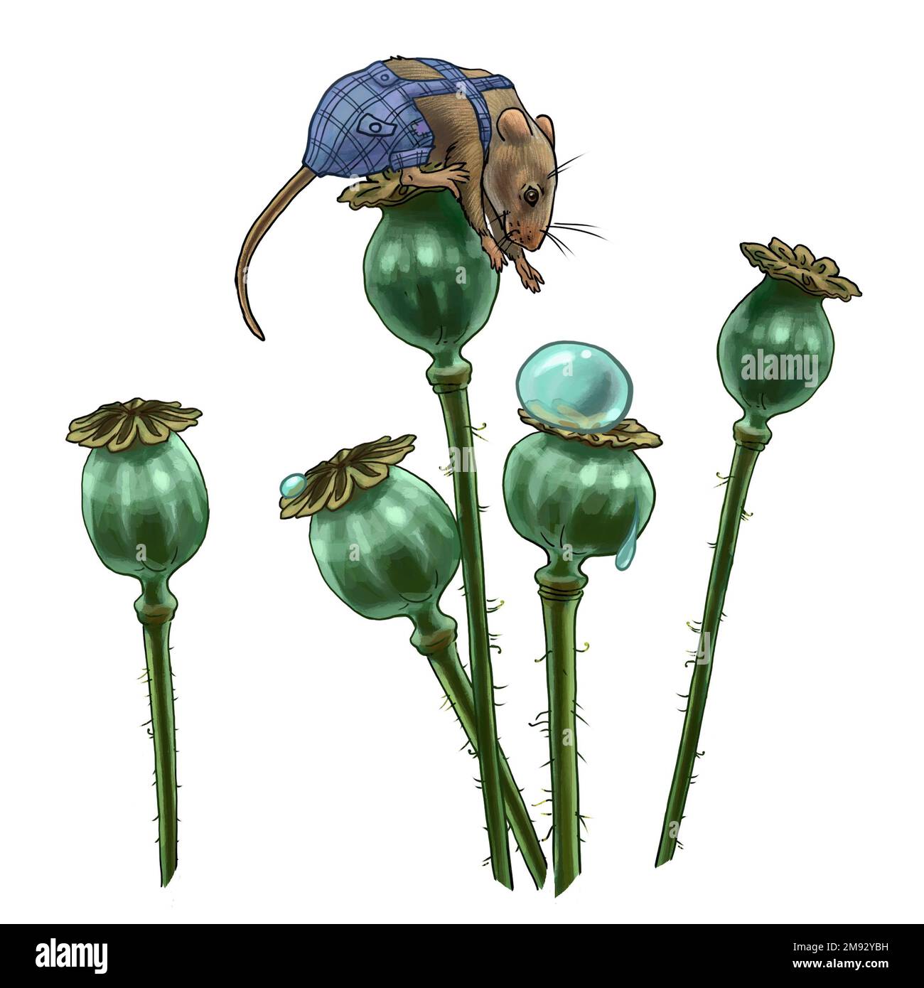 Illustration en couleur d'une souris et d'une fleur. Illustration de haute qualité Banque D'Images