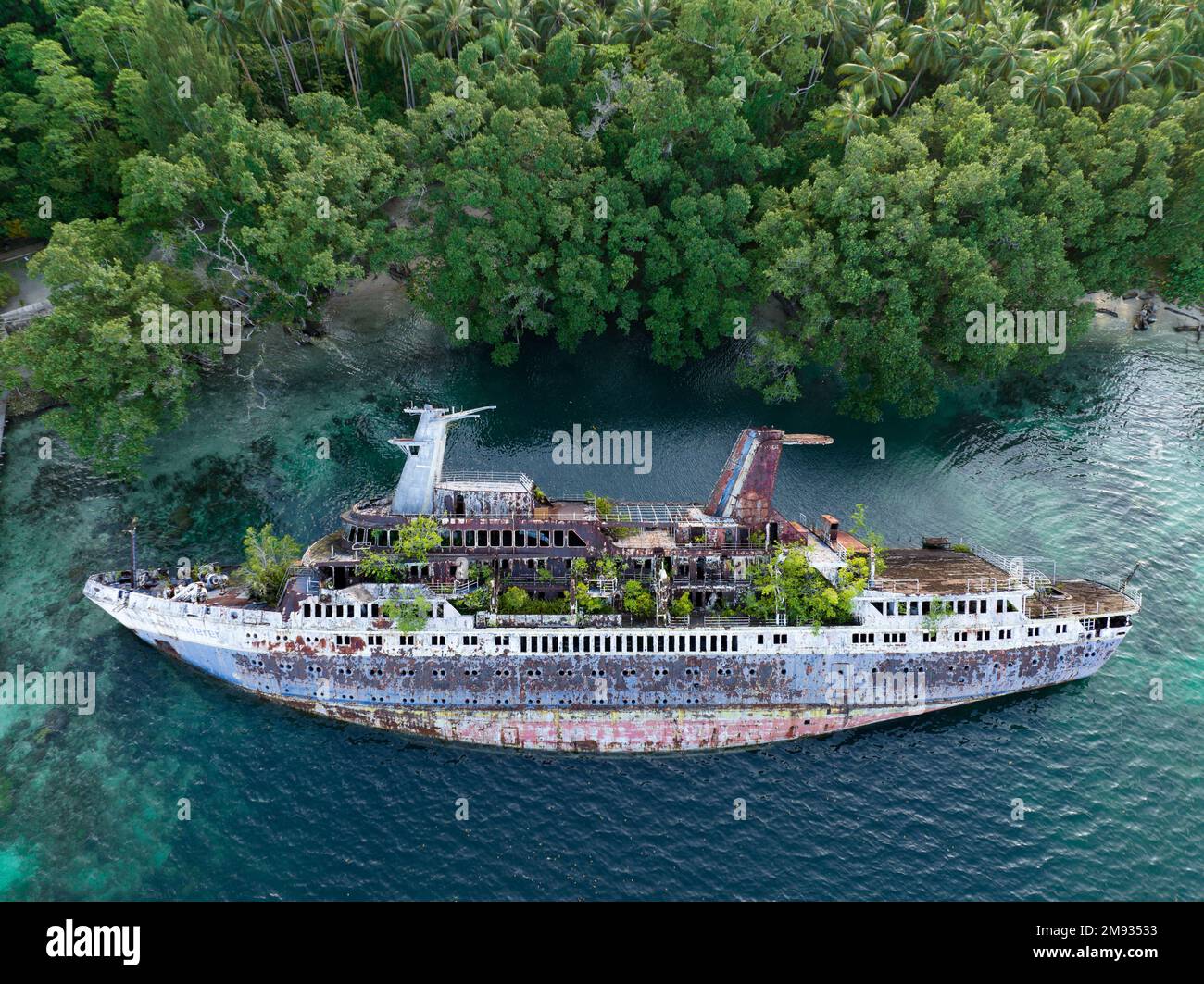 Mère nature s'est lentement reconquue le World Discoverer, un navire de croisière qui a été naufragé dans les îles Salomon. Le navire a heurté un récif en 2000. Banque D'Images