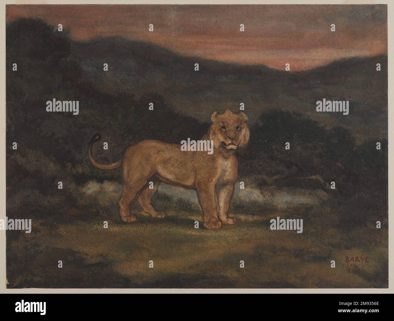 Lion debout (Lion debout) Antoine-Louis Braye (français, 1795-1875). Lion debout (lion debout), né Aquarelle, gouache et pastel sur papier vélin de couleur crème, 9 11/16 x 13 po (24,6 x 33 cm). Art européen n.d. Banque D'Images