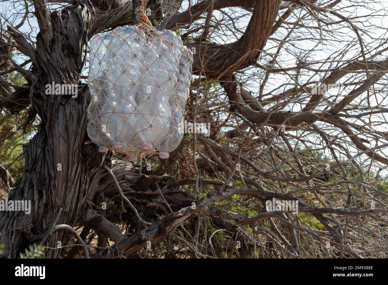 Une machine à coudre en bouteilles de plastique sur la plage, l'art de la survie. Gros plan Banque D'Images