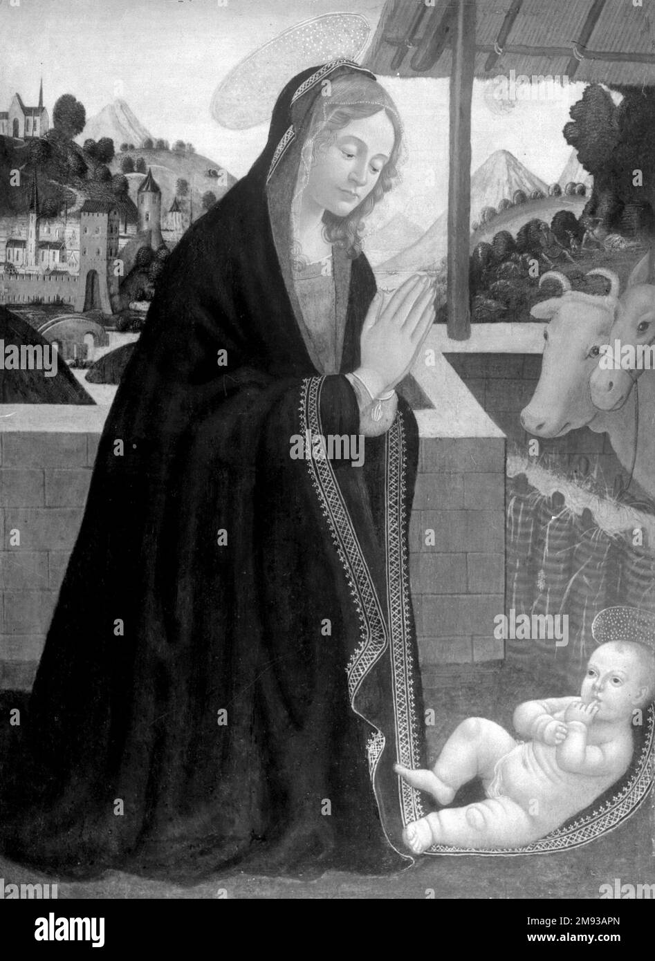 La Vierge adorant le Christ enfant Follower de Sebastiano Mainardi (italien, 1466-1513). La Vierge adorant l'enfant Christ, ca. 1500. Température sur panneau en peuplier, 27 3/4 x 20 po. (70,5 x 50,8 cm). Art européen ca. 1500 Banque D'Images