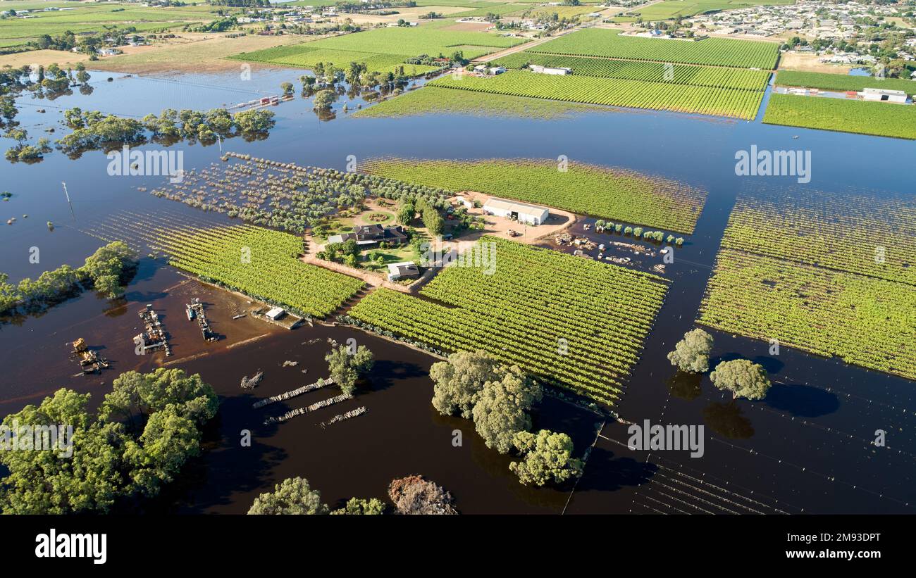 Un vignoble et une maison entourés d'eaux de crue près de la ville rurale de Mildura, dans le nord-ouest de Victoria, en Australie. Banque D'Images