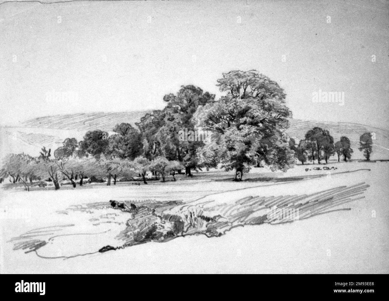 Paysage avec arbres William Trost Richards (américain, 1833-1905). , 1870s-1880s. Graphite sur papier vélin blanc monté sur carte, feuille : 10 x 14 1/16 po. (25,4 x 35,7 cm). Art américain 1870s-1880s Banque D'Images