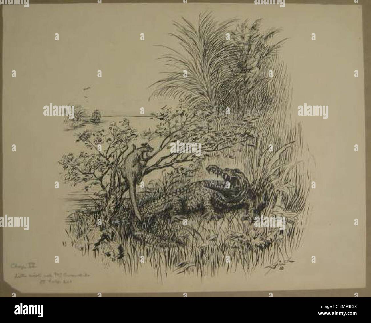 Chapitre IV 'The Animal Village', 'Little Wiste a demandé à M. Crocodile de l'aider' Reginald Birch (américain, né à Londres, Angleterre, 1856-1943). 1940. Encre noire avec touches de liquide correcteur blanc sur papier vélin épais, feuille: 14 3/16 x 17 15/16 po. (36 x 45,6 cm). Art américain 1940 Banque D'Images