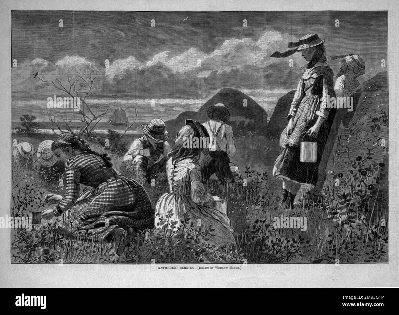 Cueillette de baies Winslow Homer (américain, 1836-1910). , 1874. Gravure en bois, image : 9 1/8 x 13 1/2 po. (23,2 x 34,3 cm). En juillet 1874 Homer travaillait à East Hampton, long Island, le cadre probable de cette image. Comme l'a noté l'historienne d'art Sarah Burns, l'humeur de cette image est très semblable à un poème écrit par Lucy Larcom en 1874: Les nénuphars rouges éclatent de l'épaissie des roses sauvages ici et là: Il y a de la douceur dans toutes les brises, il y a de la santé dans chaque souffle d'air. Hark au vent dans les pins! Allez à la rill de tinkling ! O, agréable, c'est un-errant dans les pâturages sur Banque D'Images
