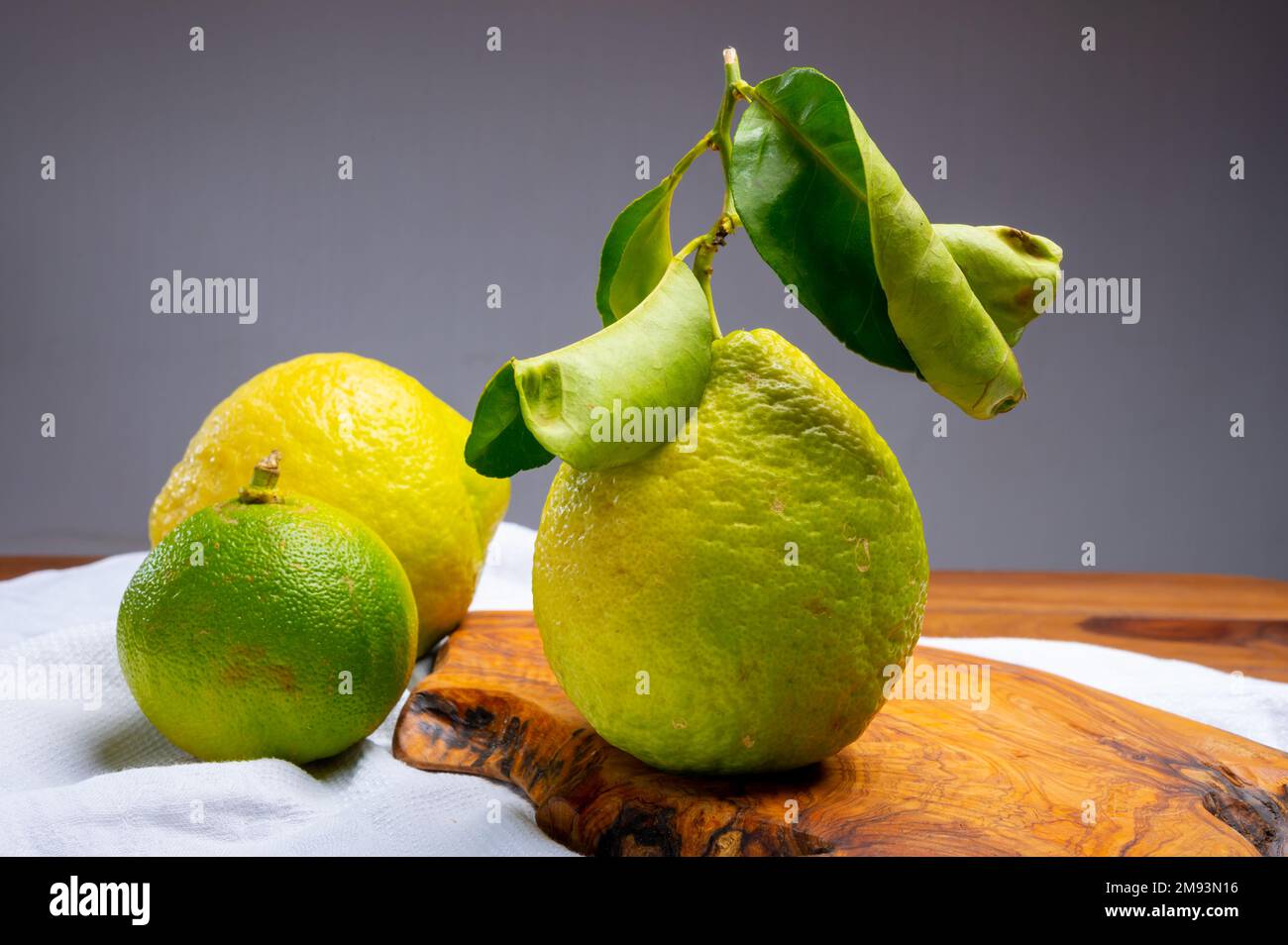 Variété d'agrumes, bergamote mûre et cédrate de citron-citron ou Citrus medica, grands agrumes parfumés à la croûte épaisse Banque D'Images