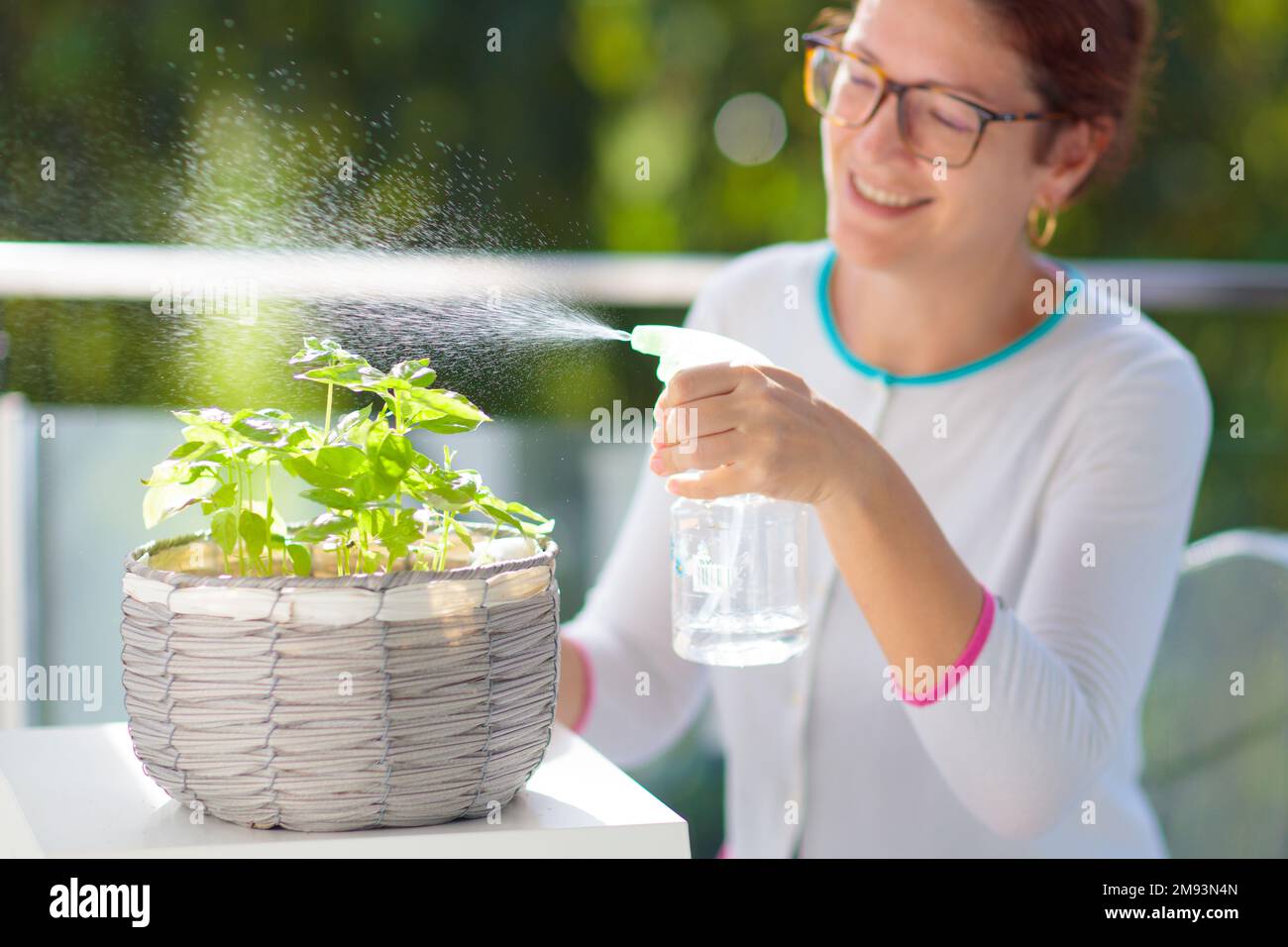 Femme arrosoir plante de balcon. Jardin d'herbes sur le patio. Jeune femme vaporisant de l'eau sur des herbes en pot. Basilic dans un pot sur la terrasse de l'appartement. Banque D'Images