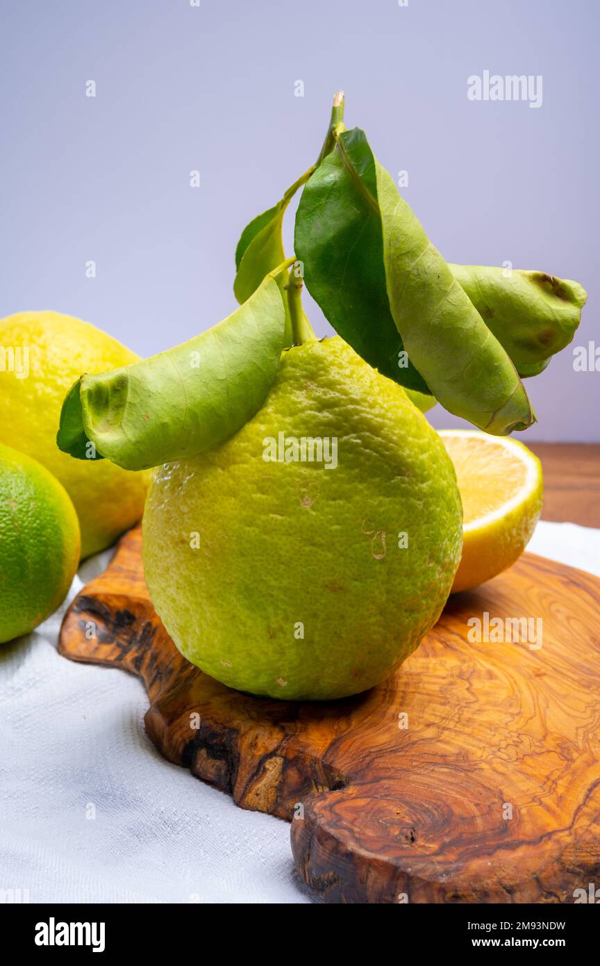 Variété d'agrumes, bergamote mûre et cédrate de citron-citron ou Citrus medica, grands agrumes parfumés à la croûte épaisse Banque D'Images