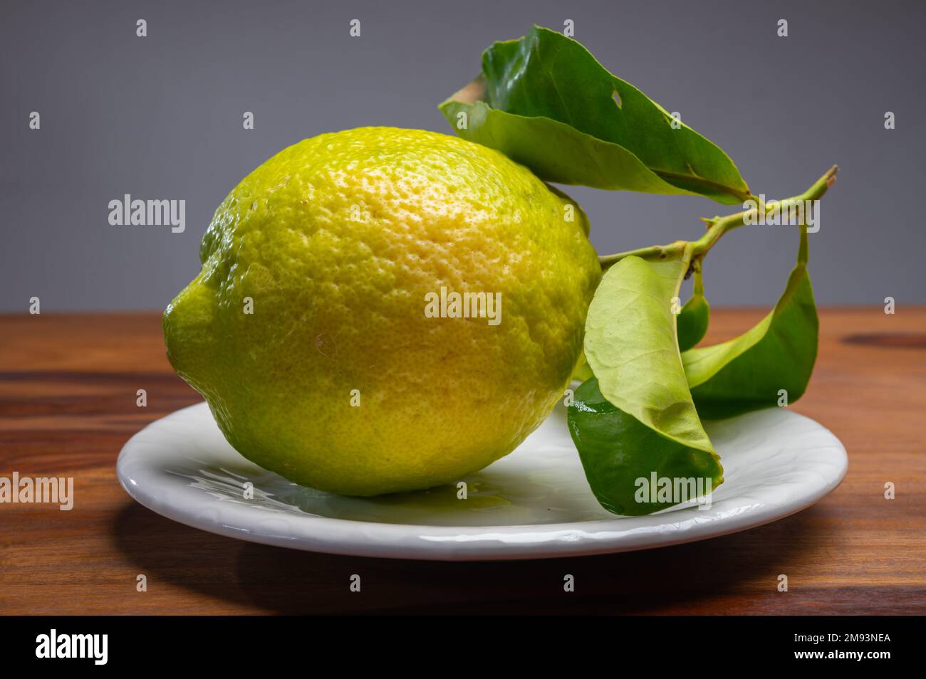 Cédrate de citron-citron ou Citrus medica, grands agrumes parfumés avec de la croûte épaisse utilisés pour faire de la limonchello italienne Banque D'Images