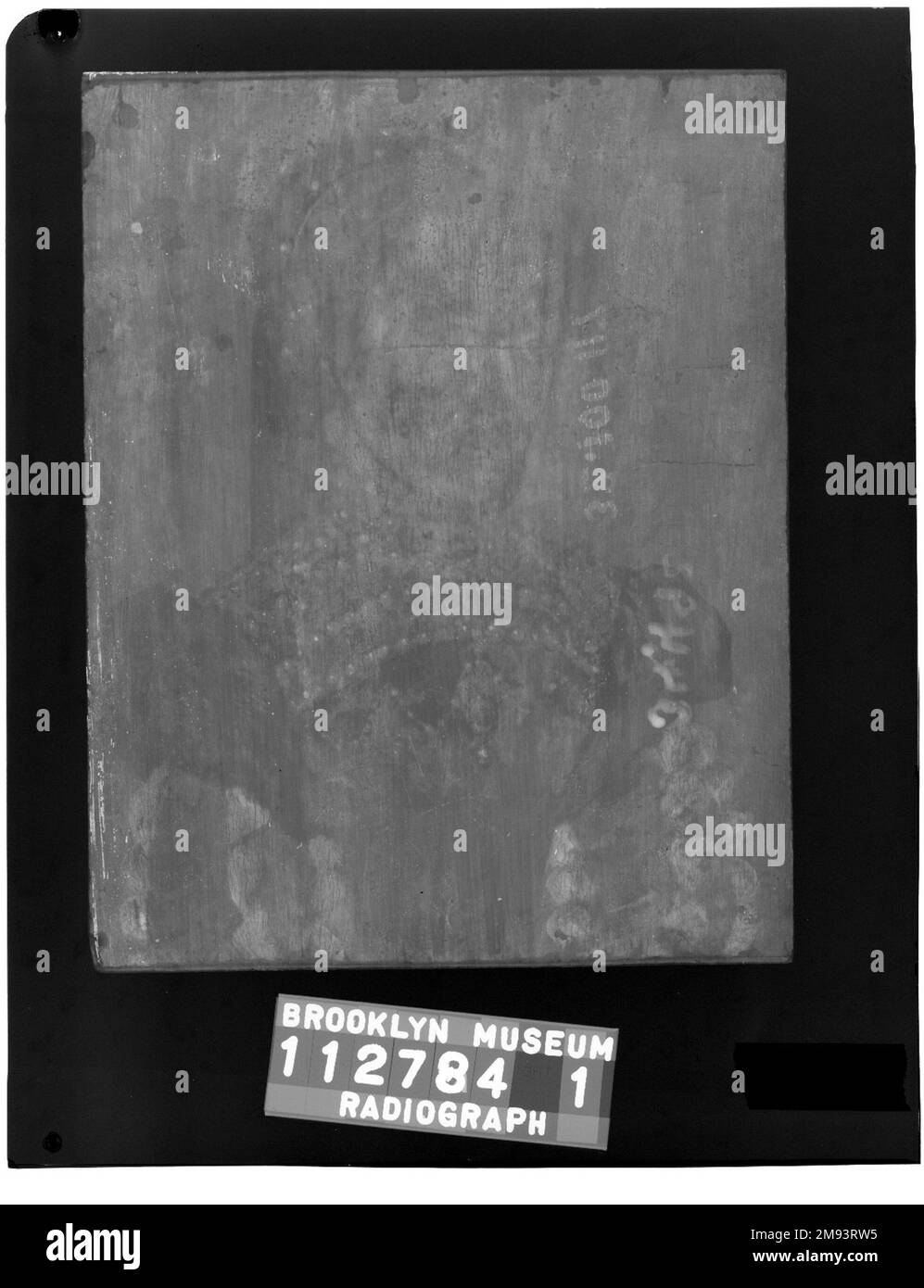 Portrait d'une jeune femme Corneille de Lyon (néerlandais, 1500/10-1575, active en France). Portrait d'une jeune femme, 1555-1565. Tempera sur bois, 5 1/4 x 6 3/4 po. (13,3 x 17,1 cm). Art européen 1555-1565 Banque D'Images