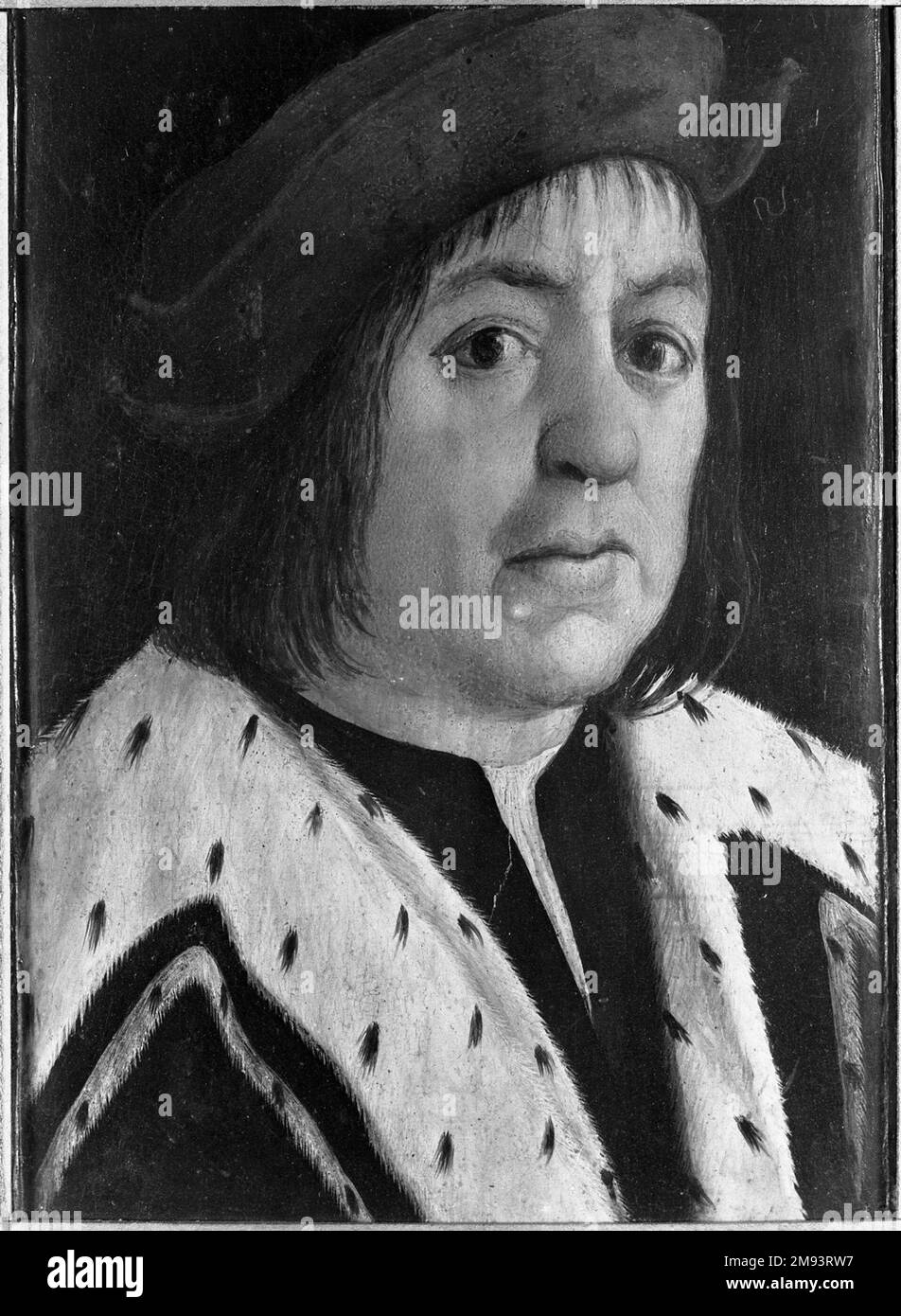 Homme avec un collier Ermine inconnu. Homme avec un collier Ermine, 16th siècle. Huile sur panneau, 10 1/8 x 7 1/2 in. (25,7 x 19,1 cm). Art européen 16th siècle Banque D'Images