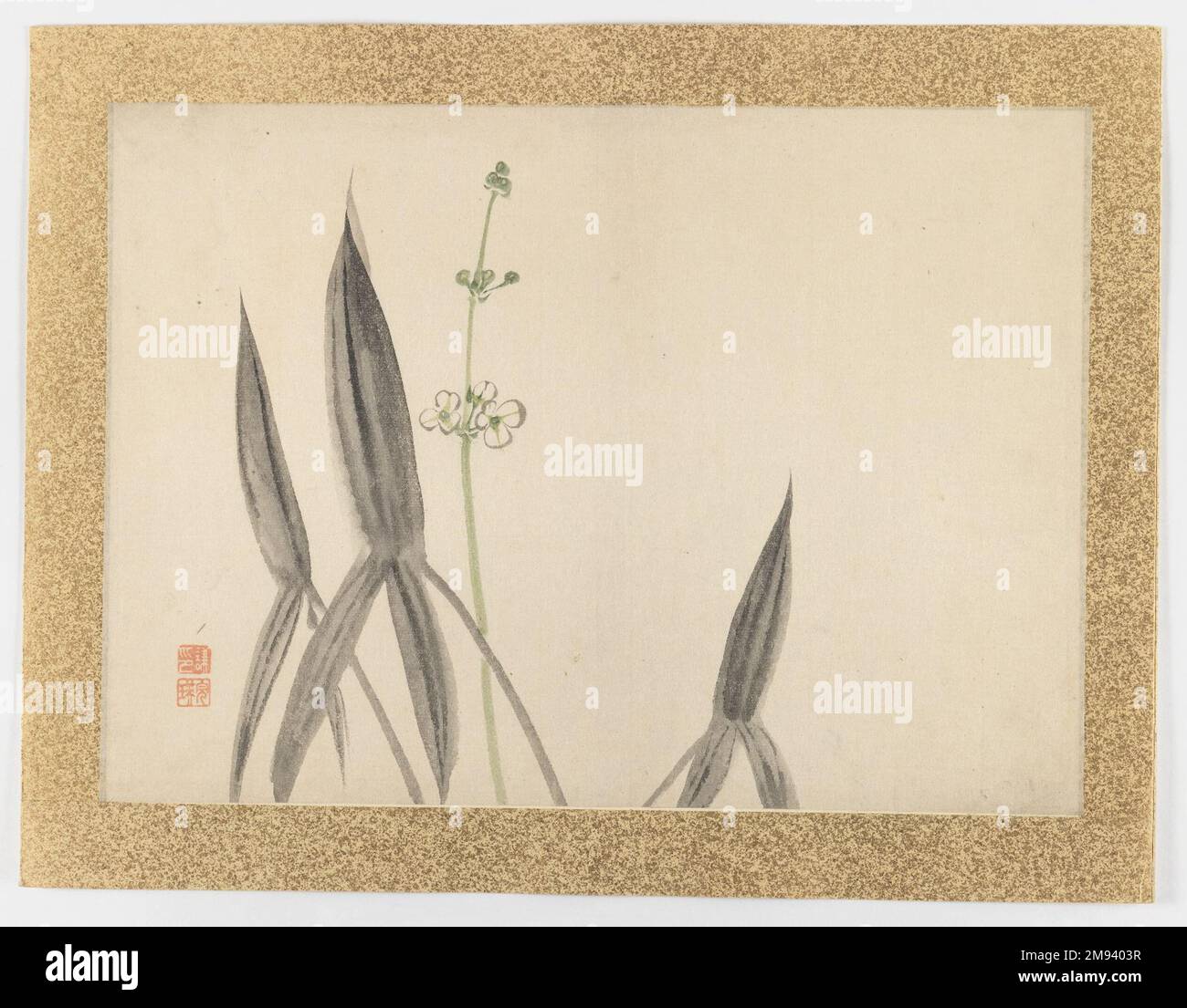 [Sans titre] (sujet de fleur) Nishiyama Hoen (japonais, 1804-1867). , 1855. Encre et couleur claire sur papier, 20 5/8 x 14 7/8 cm (52,4 x 37,8 cm). Art asiatique 1855 Banque D'Images