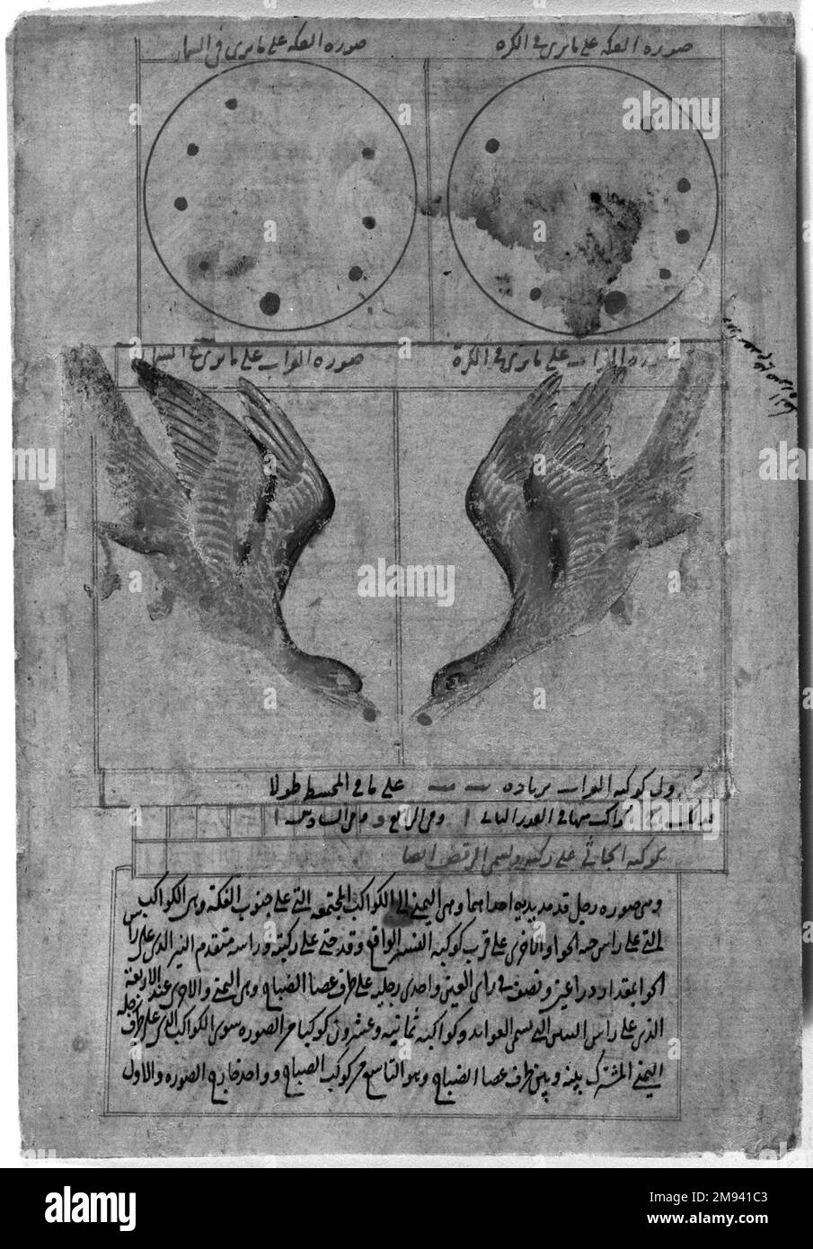 La Constellation de Corvus le Corbeau, Folio de Suwar al-Kawakib al-Thaba (le livre des étoiles fixes) par Abd al-Rahman (B. Umar al-Sufi, 903-986 ce) la Constellation de Corvus le Corbeau, Folio de Suwar al-Kawakal-Thaba (le livre des étoiles fixes) par Umar al-Rahib, 903-986 ce, 16th. Encre, aquarelle opaque et or sur papier, 5 3/4 x 7 7/8 cm (14,6 x 20 cm). Arts du monde islamique 16th siècle Banque D'Images