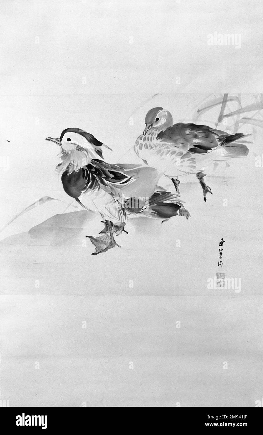Paire de canards mandarin Kishi Renzan (japonais, 1805-1859). , 19th siècle. Peinture à spirale suspendue ; encre et couleur claire sur papier, 45 1/2 x 21 1/4 po. (115,6 x 54 cm). Art asiatique 19th siècle Banque D'Images