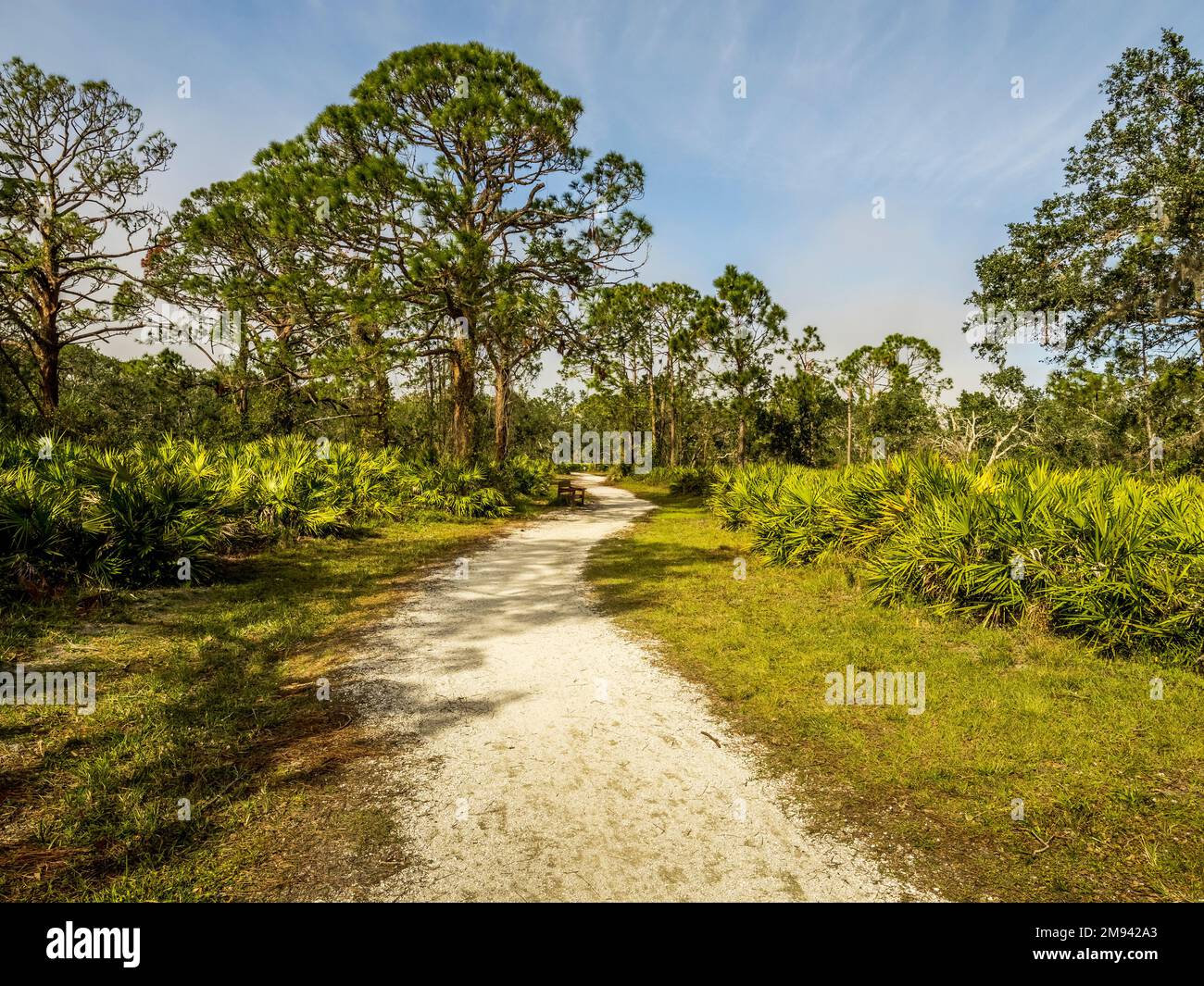 Sentier de randonnée dans le parc de Lemon Bay à Englewood Florida USA Banque D'Images