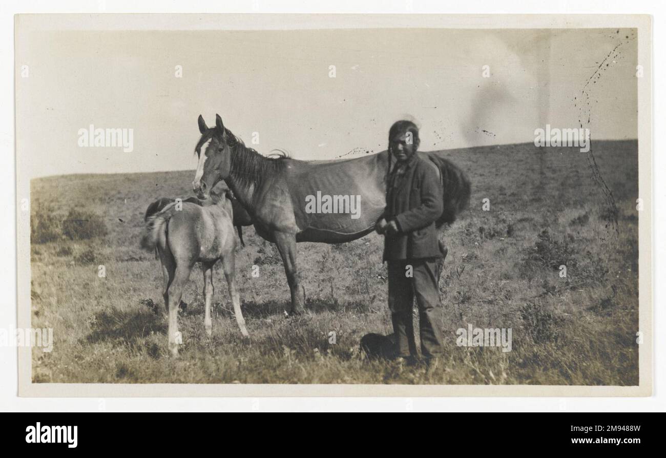 [Sans titre] (Homme debout par une Mare et deux foals) Inconnu. , ca. 1900. Photographie en gélatine argentée, 5 1/4 x 3 1/8 po. (13,3 x 8,0 cm). Photographie ca. 1900 Banque D'Images