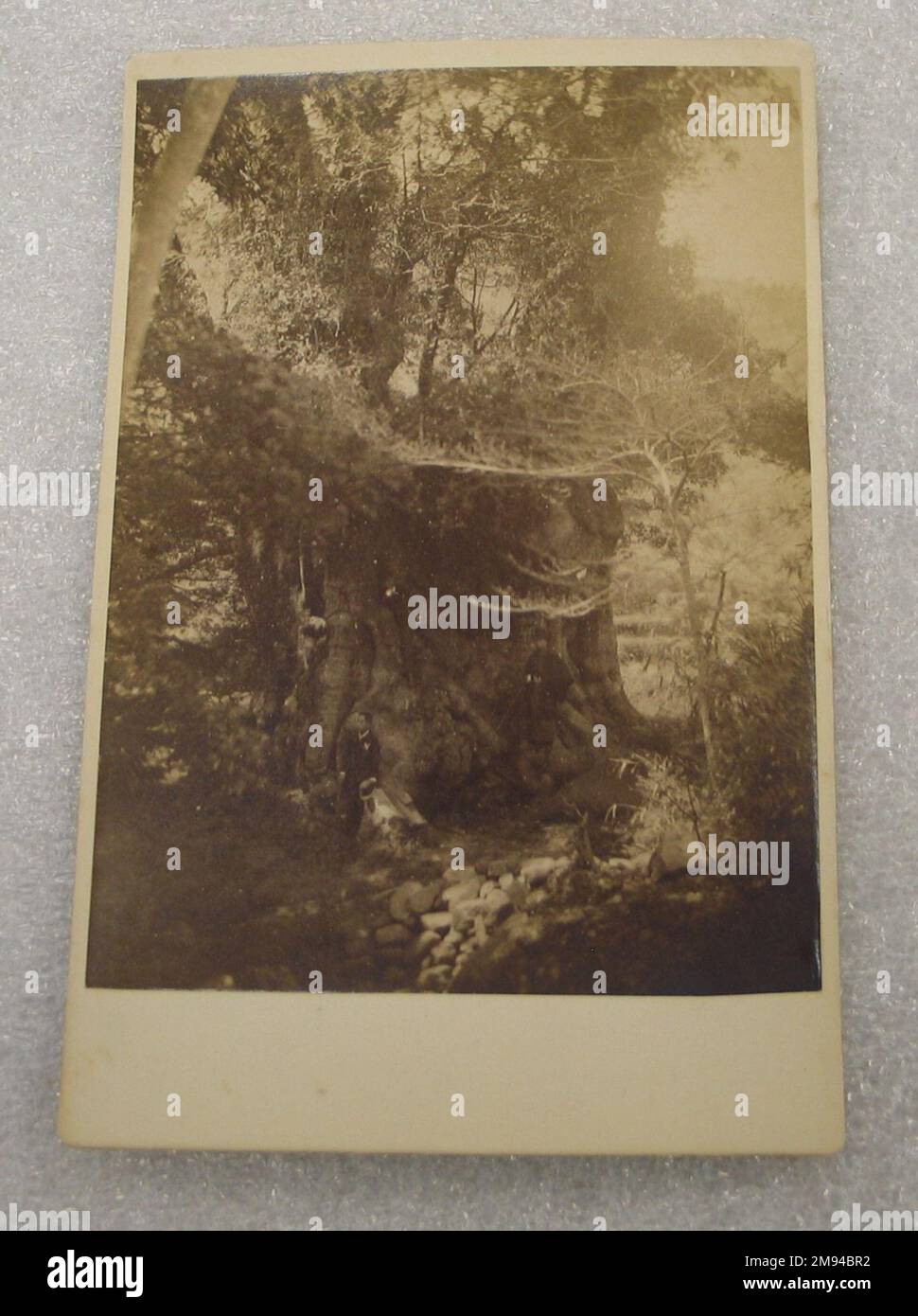 Vue sur le Japon vue sur le Japon, fin 19th-début 20th siècle. Photographie argentée d'albumine montée sur carton, avec montage : 4 3/16 x 6 7/16 po. (10,6 x 16,3 cm). Art asiatique fin 19th-début 20th siècle Banque D'Images