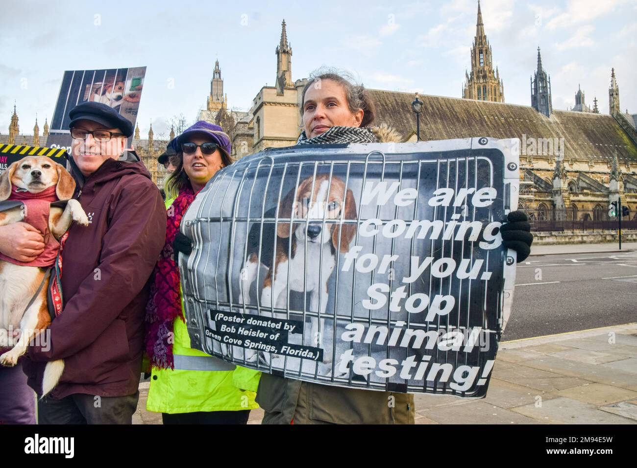 Londres, Royaume-Uni. 16th janvier 2023. Un manifestant tient une étiquette d'essai anti-animal pendant la démonstration. Les militants des droits des animaux ont organisé une manifestation sur la place du Parlement avant le débat gouvernemental sur une pétition appelant à la fin de la reproduction commerciale des animaux pour les laboratoires et à la fin des expériences animales. (Photo de Vuk Valcic/SOPA Images/Sipa USA) crédit: SIPA USA/Alay Live News Banque D'Images