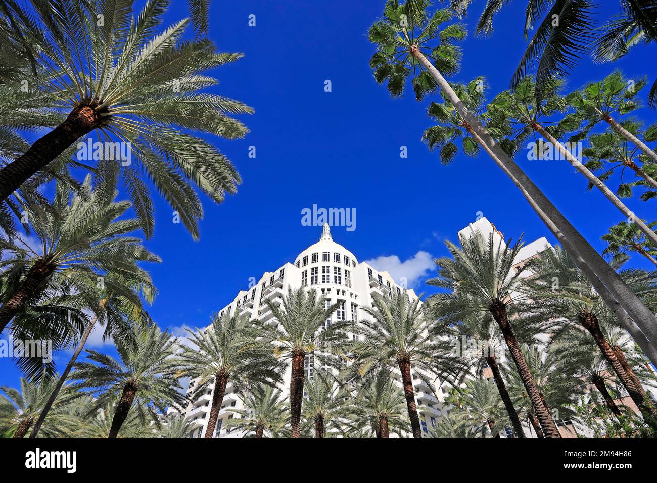 Édifice art déco entouré de palmiers sur l'avenue Collins à Miami Beach Banque D'Images