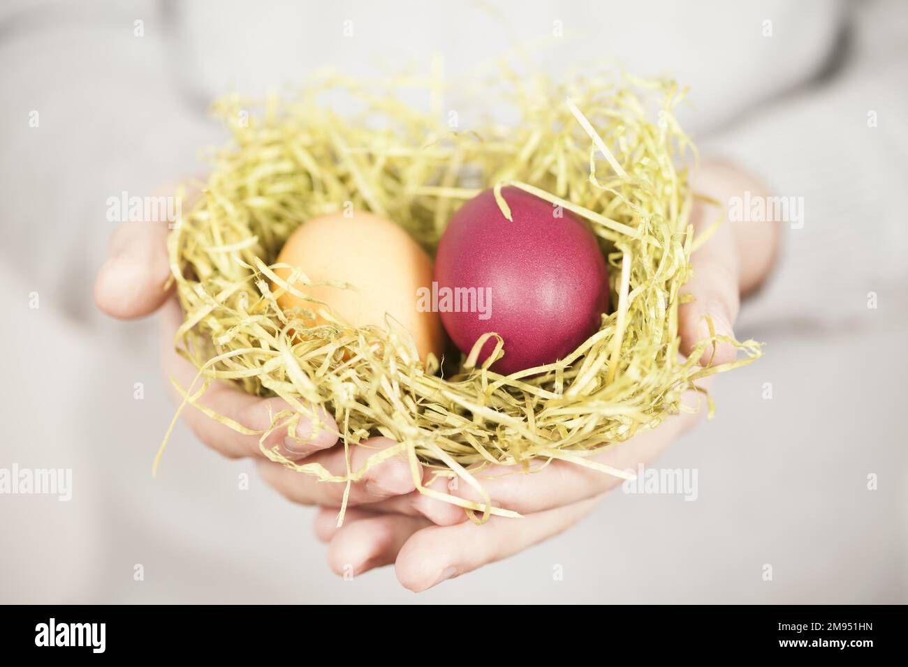 Mains tenant nid de Pâques avec deux oeufs de Pâques Banque D'Images