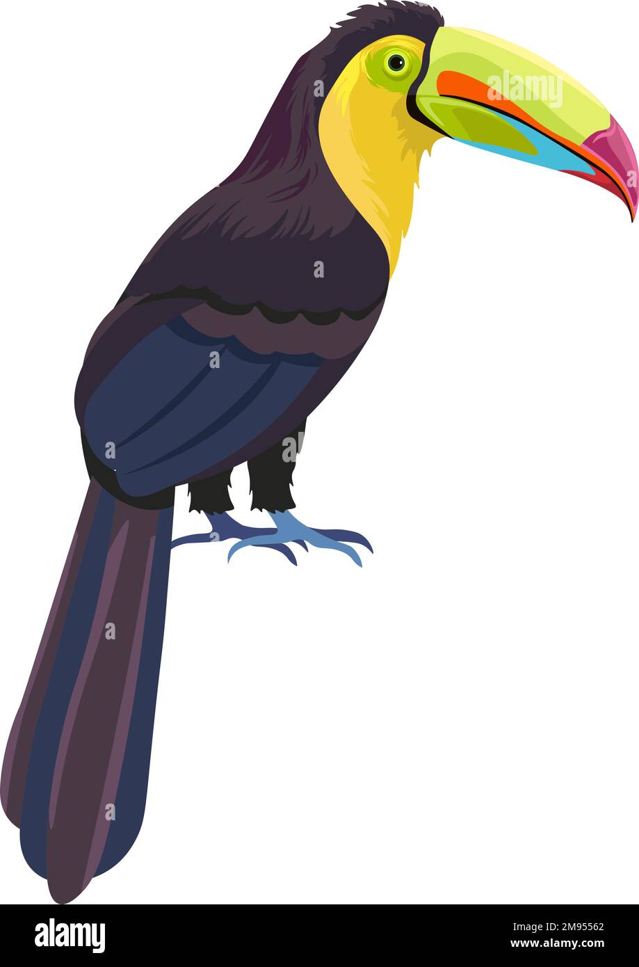 Oiseau exotique avec grand bec, animal aviaire tropical Illustration de Vecteur