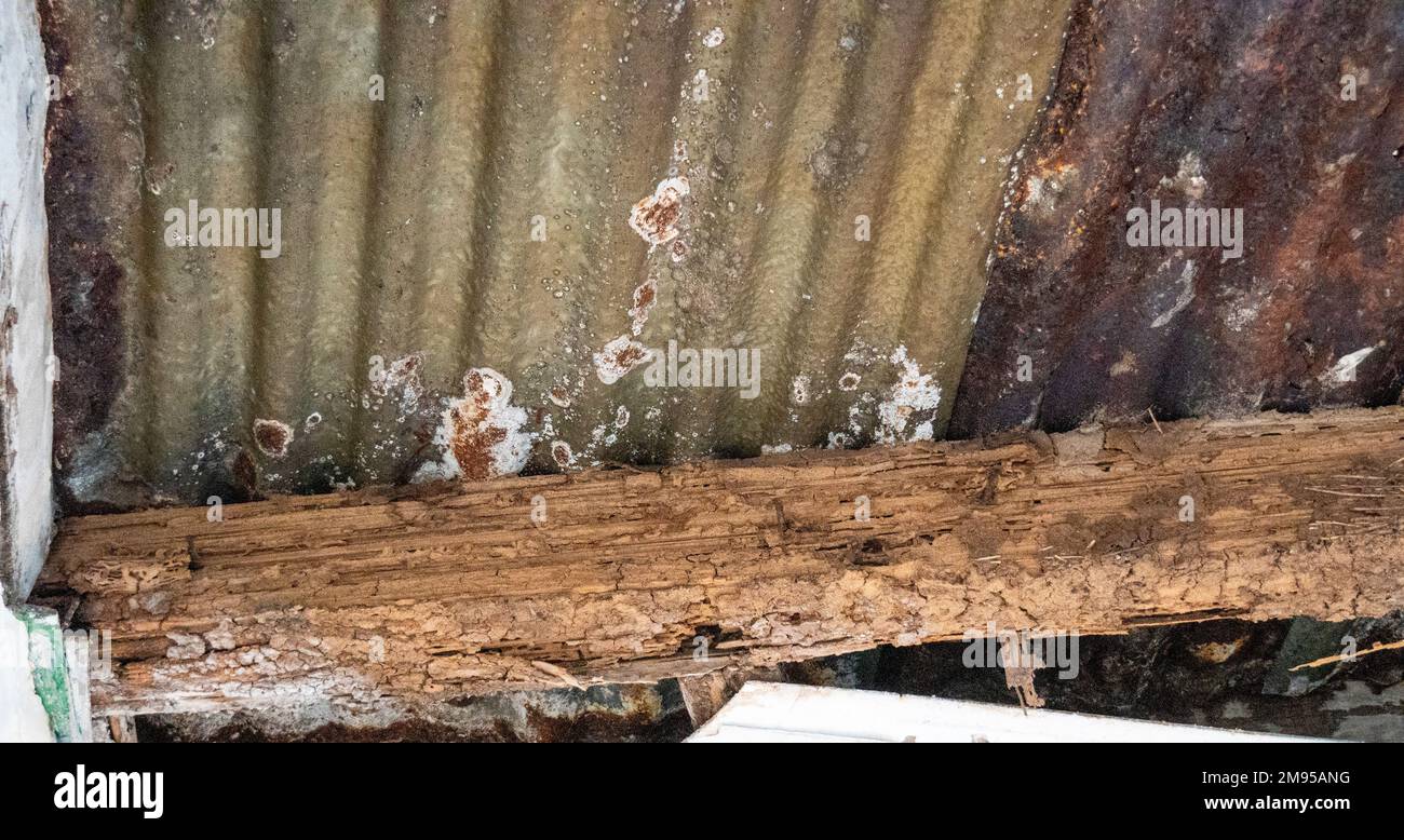 Clôture en étain ondulé rouillé et rail supérieur en bois pourri Banque D'Images