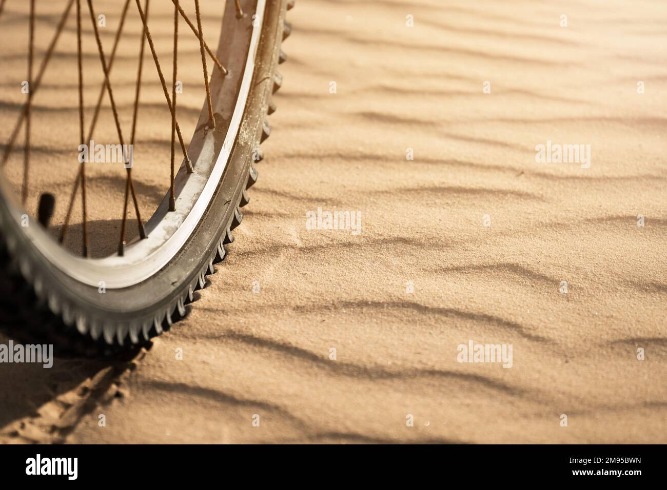 Roue d'un vieux vélo sur le sable dans le désert en gros plan Banque D'Images