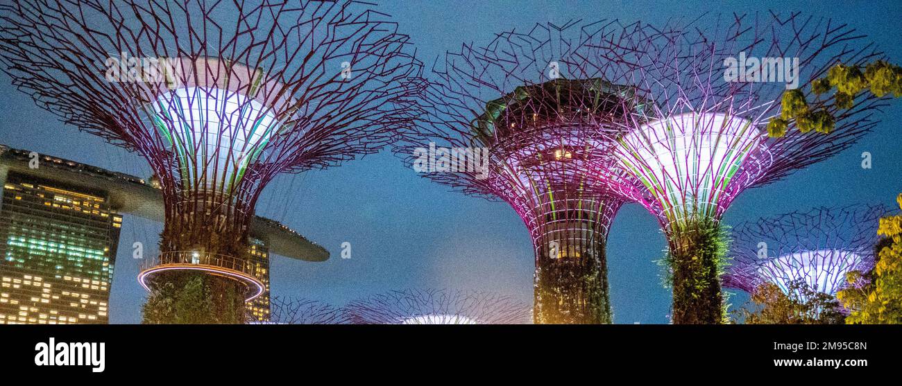 Jardins verticaux Supertrees illuminés la nuit dans Gardens by the Bay Singapore Banque D'Images
