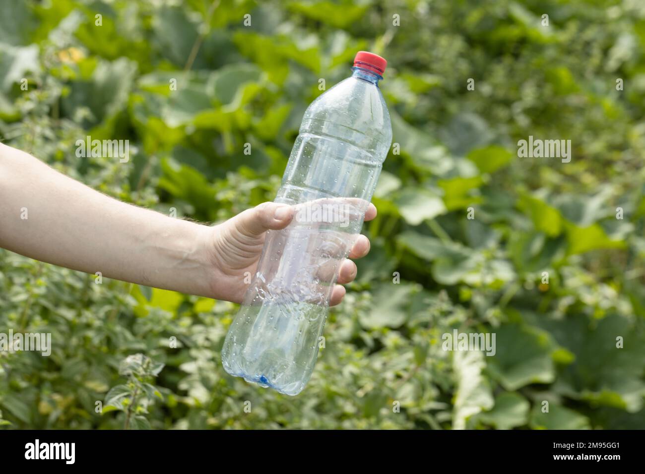 Main tenant une bouteille en plastique vide froissés dans le parc Banque D'Images