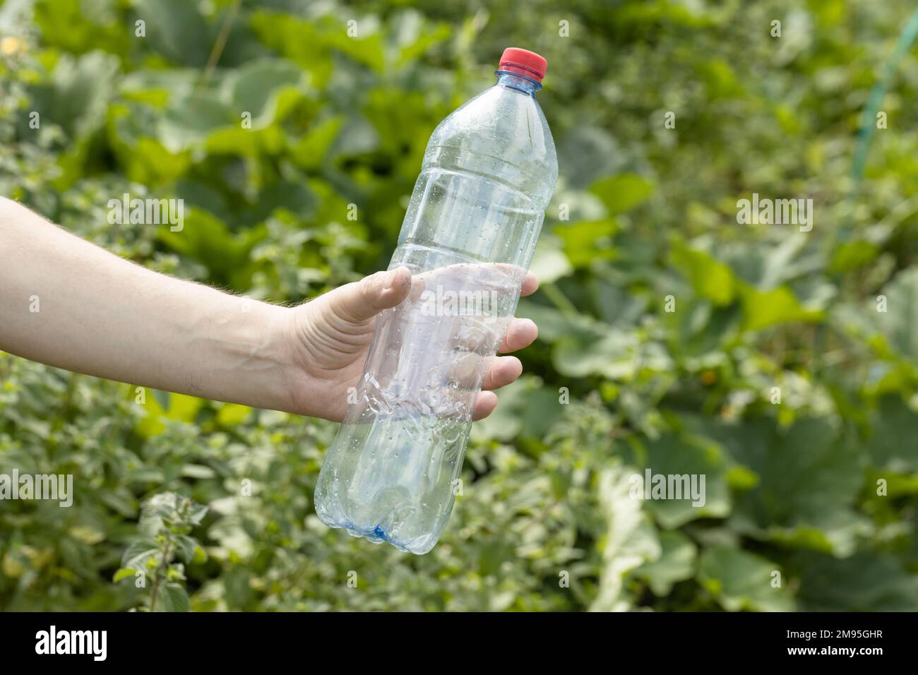 Main tenant une bouteille en plastique vide froissés dans le parc Banque D'Images