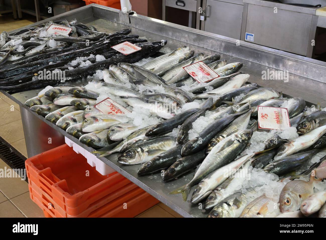 Fish stand, marché de Loule, quartier de Faro, Algarve, Portugal Banque D'Images