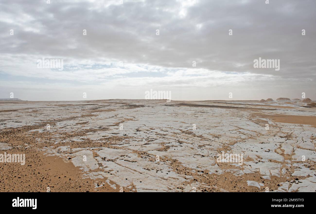 Paysage vue panoramique du désert occidental désertique dans un paysage stérile panoramique en Égypte désert blanc occidental avec ciel couvert Banque D'Images