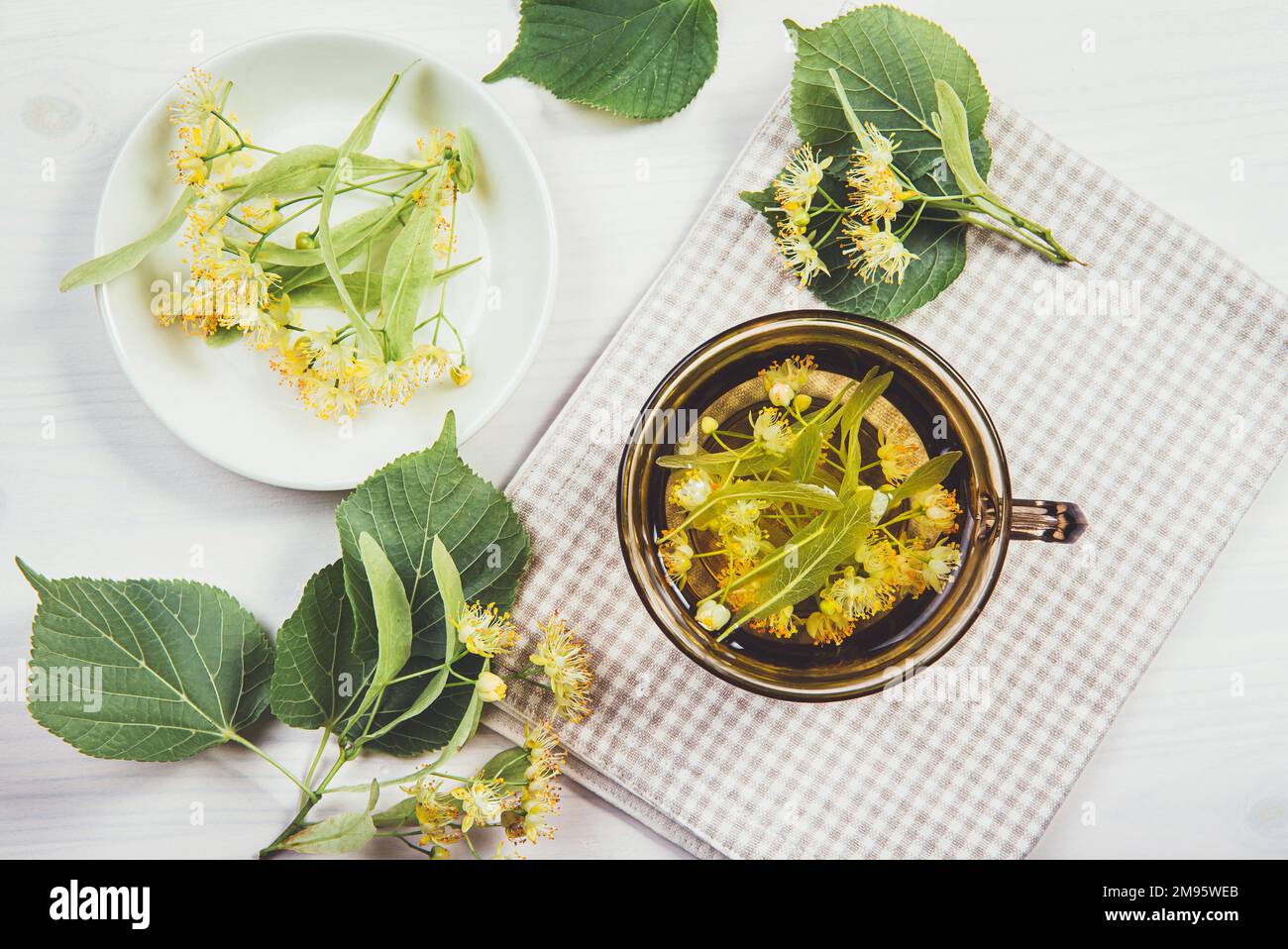 Flat Lay View of Tilia platyphyllos connu comme le thé à base de fleurs de tilleul à grands feuilles, fait à partir d'une fleur fraîchement cueillie avec des feuilles d'arbre et de branche Banque D'Images