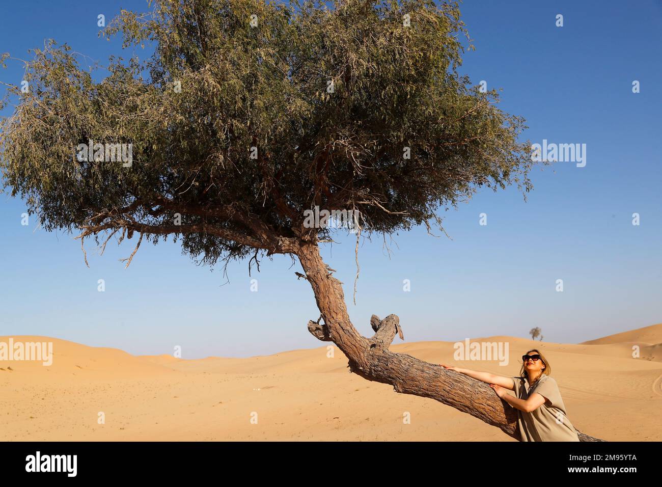 Femme avec un acacia dans le désert d'Abu Dhabi. Émirats arabes Unis. Banque D'Images