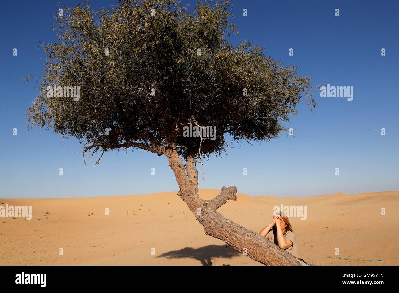 Femme avec un acacia dans le désert d'Abu Dhabi. Émirats arabes Unis. Banque D'Images
