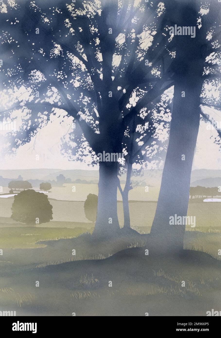 La lumière brumeuse du milieu de l'après-midi tombe à travers deux grands arbres, assis au milieu d'une scène classique de campagne anglaise de champs vallonnés et de collines peu éloignées. Peinture à l'aérographe par Malcolm Greensmith Banque D'Images