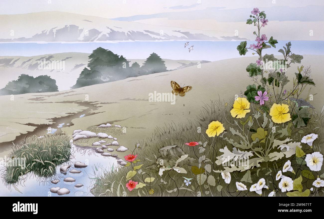 Un paysage composé de fleurs sauvages et de papillons au premier plan, un ruisseau sinueux menant vers la vallée de l'intoa et des eaux et des montagnes lointaines. Peinture par Malcolm Greensmith Banque D'Images