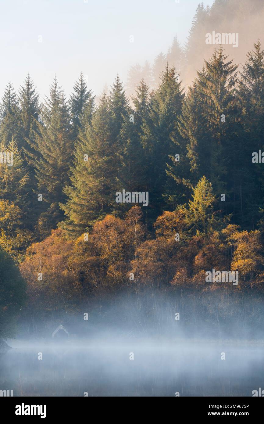 Une aube brumeuse au-dessus du Loch Chon, du Loch Lomond et du parc national de Trossachs, en Écosse Banque D'Images