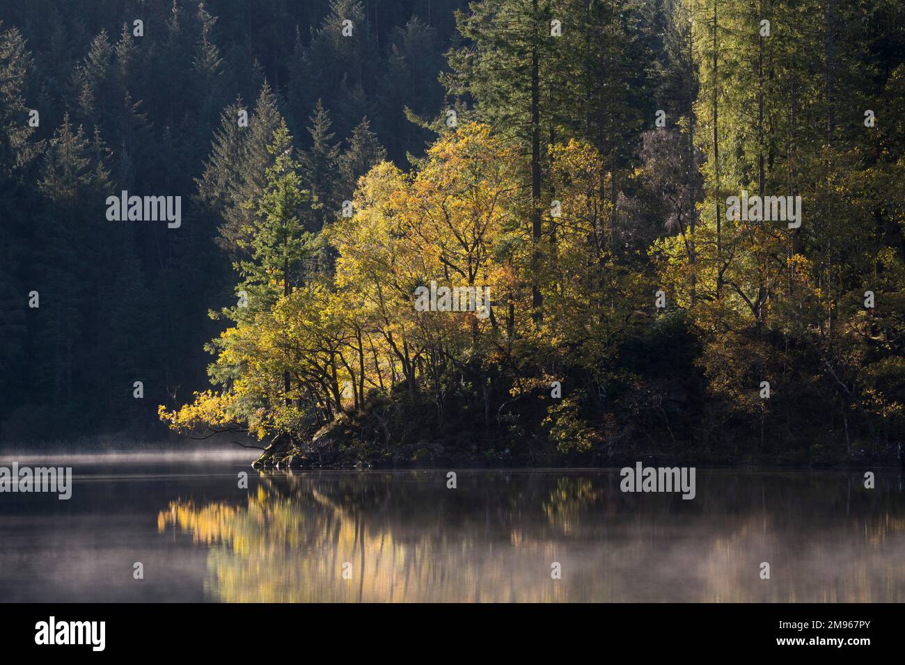 Loch ARD en automne, Loch Lomond et Parc national de Trossachs, Écosse Banque D'Images