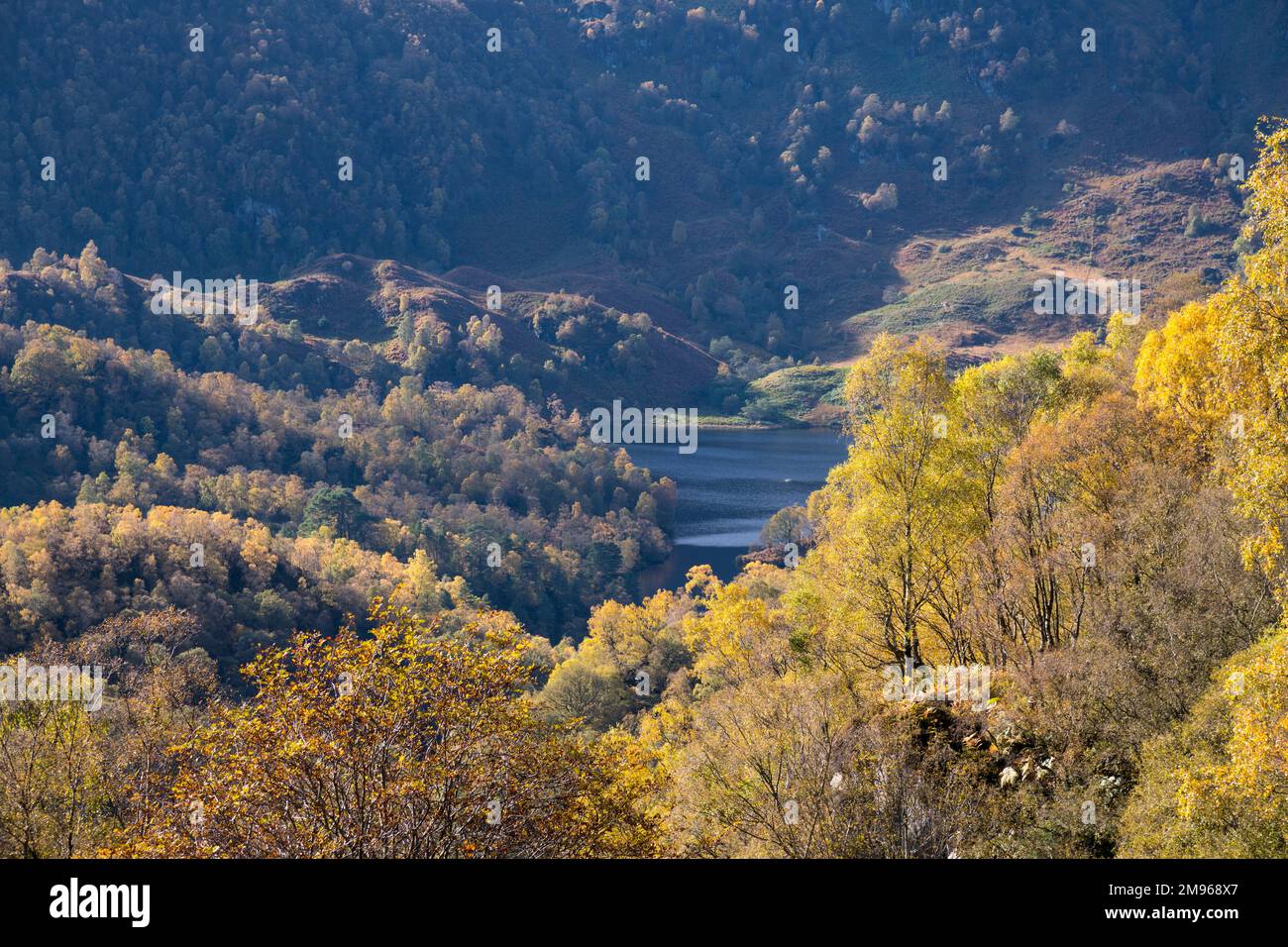 Bois de bouleau et Loch Katrine en automne, vue de Ben A'an, Loch Lomand et Parc national de Trossachs, Écosse Banque D'Images