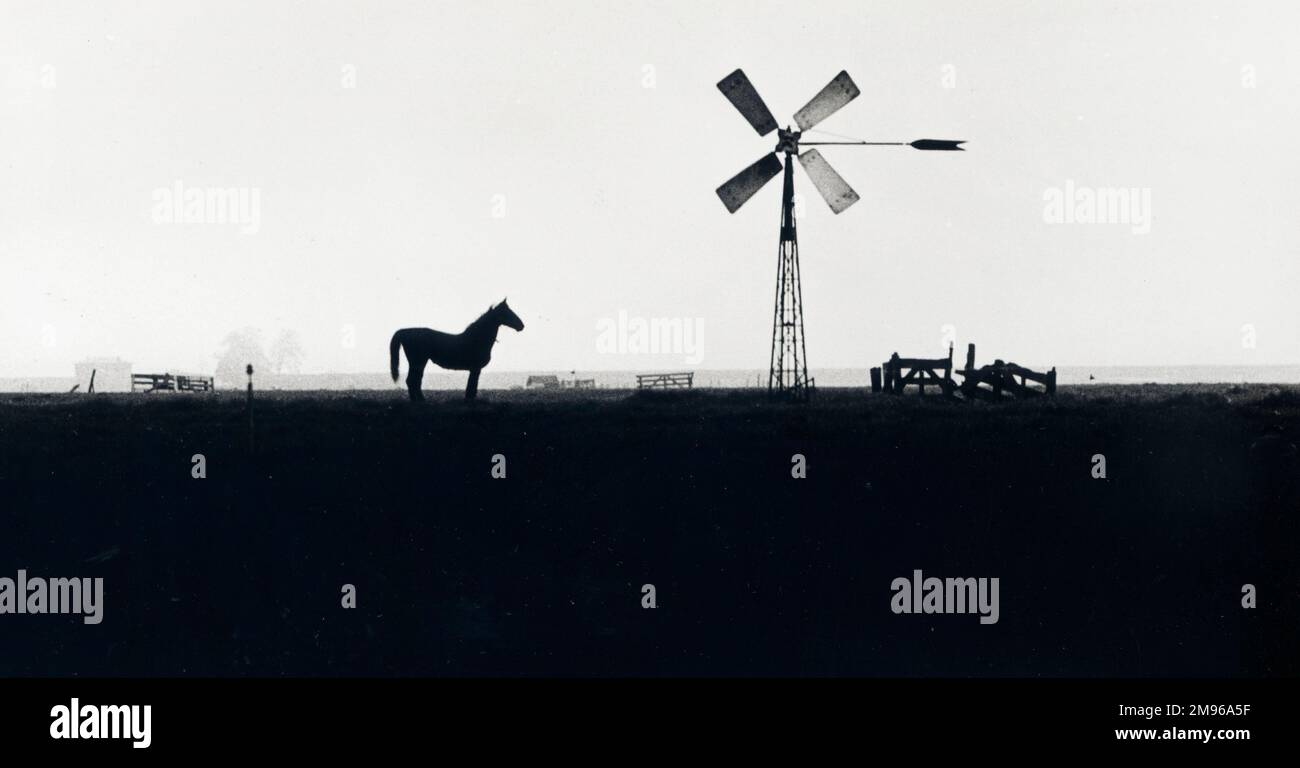 Un cheval se dresse silhoueté près d'une tour de vent et de diverses clôtures en bois dans un champ brumeux. Banque D'Images
