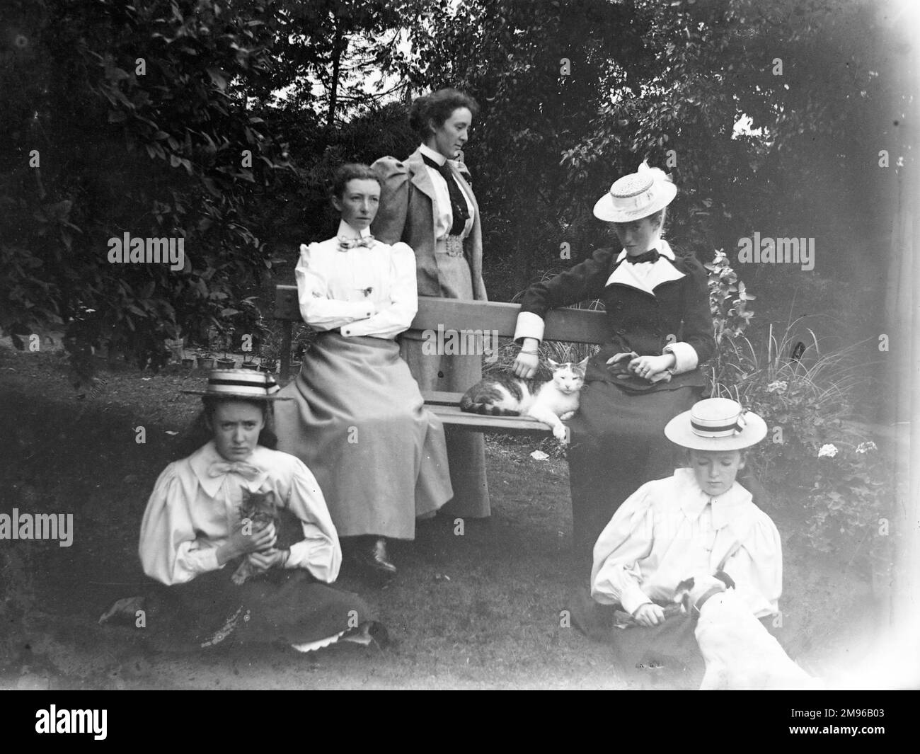 Un groupe familial de cinq sœurs édouardiennes, avec deux chats et un chien, dans un jardin quelque part à Pembrokeshire, au sud du pays de Galles. Banque D'Images