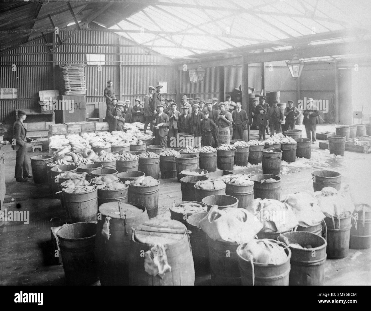 Vue à l'intérieur du marché aux poissons dans la ville côtière de Neyland, Pembrokeshire, au sud du pays de Galles. L'usine de glace et le marché du poisson ont ouvert leurs portes le 16 novembre 1908. Banque D'Images