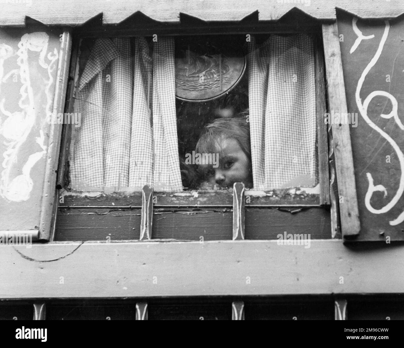 Un tout-petit gitan qui se délache de l'arrière de sa caravane, à travers des rideaux à moitié fermés. Banque D'Images