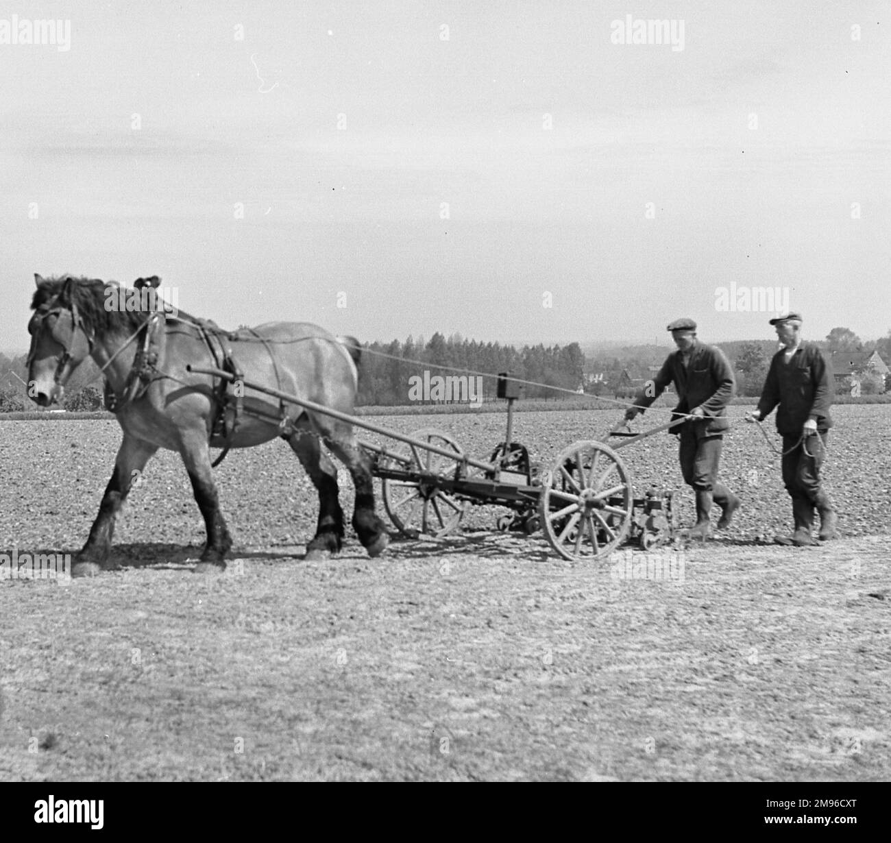 Deux hommes travaillant dans un champ avec un cheval et une charrue. Banque D'Images