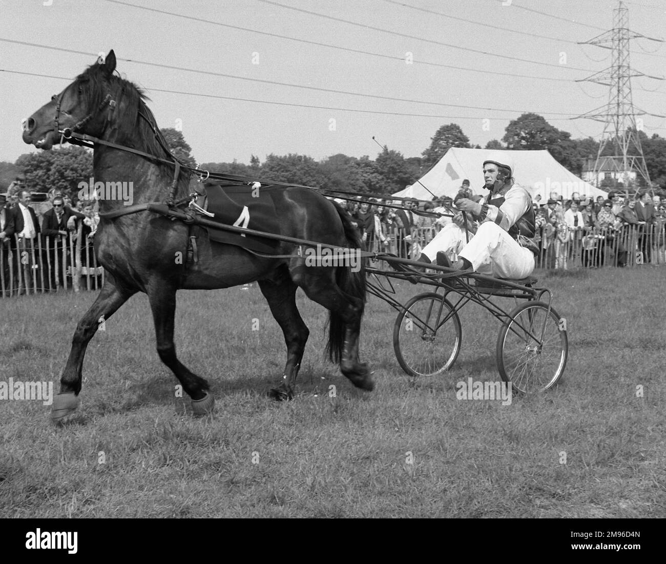 Un piège à cheval et un jockey, prenant part à une course ou un spectacle de campagne. Banque D'Images