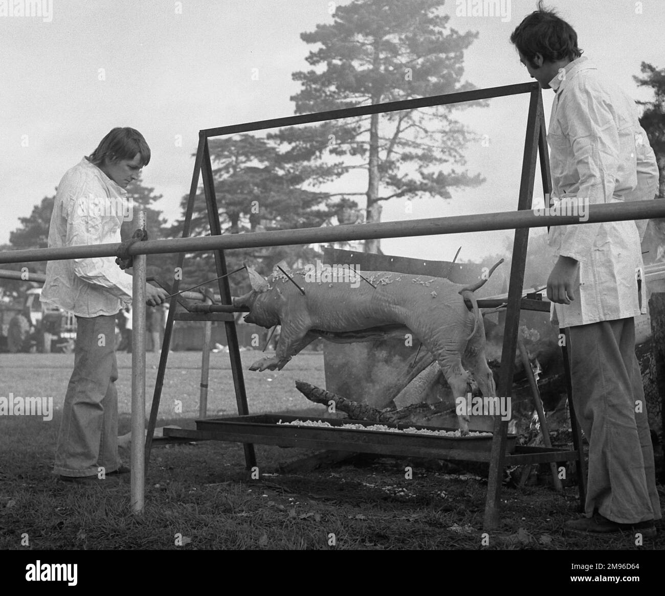 Deux hommes rôtisent un cochon sur une broche en plein air. Banque D'Images