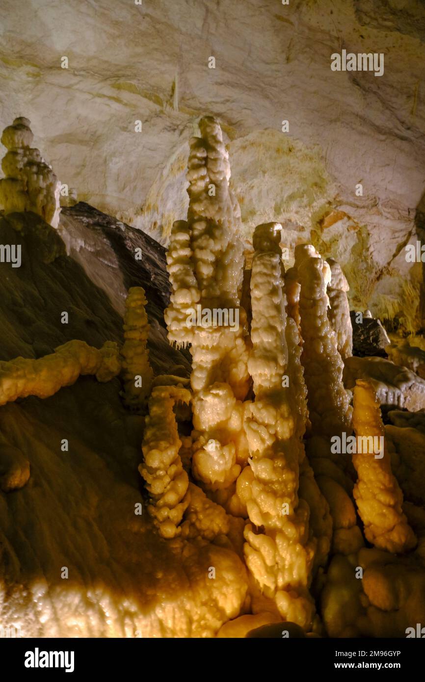 Les anciens stalagmites blancs se trouvent à proximité dans les cages de Grotta di Frasassi, Genga, Marche, Italie. Banque D'Images